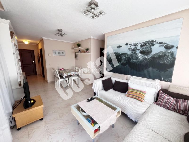 Foto c96be06b-8fa9-43af-a555-6867f003a6ca. Pis a Ris Noja