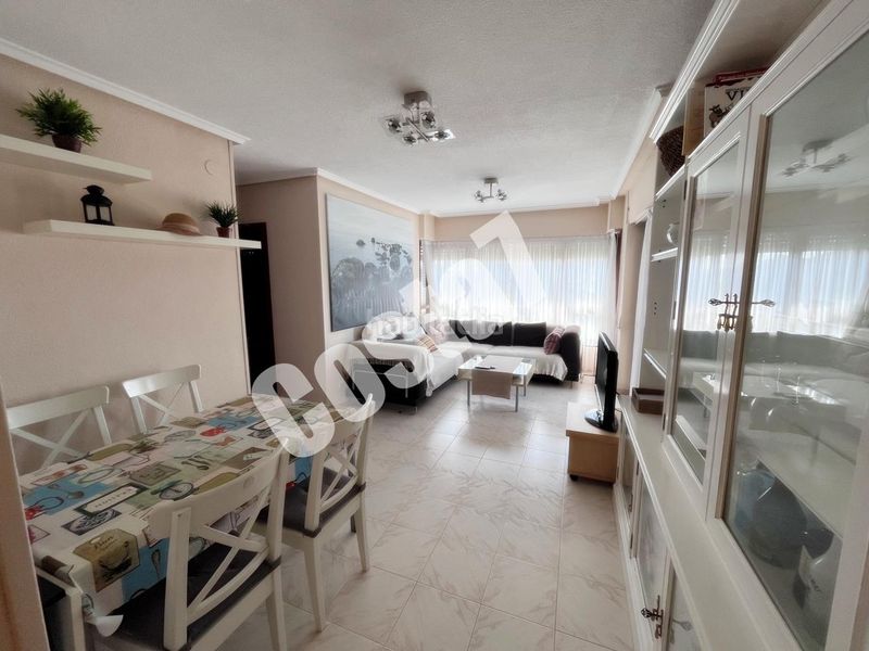 Foto d47eff30-cafd-4464-9054-b24c4b2bbca0. Pis a Ris Noja