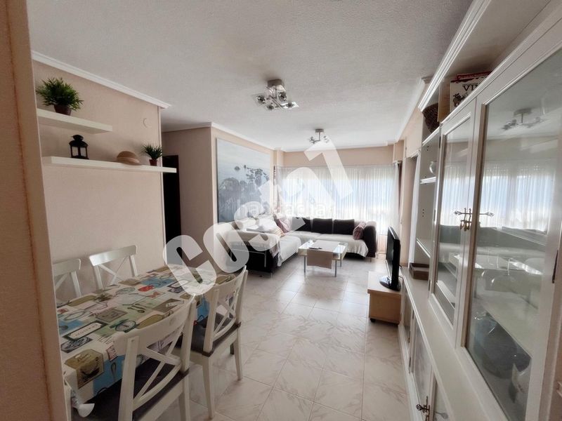 Foto e2ff0a67-61e2-4177-bf63-1abc5ab716b6. Pis a Ris Noja