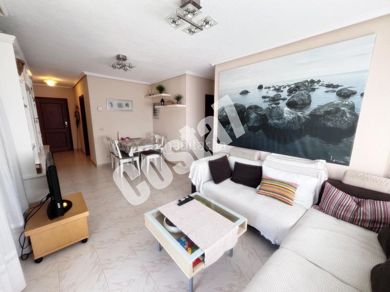 Foto ff2fa075-9182-407d-a65d-ee5c2fe8b392. Pis a Ris Noja