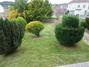Ampliar foto 502f2880-862b-4265-bdee-fd084ccb07ac.jpg