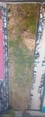 Terreno residencial en Lavadores