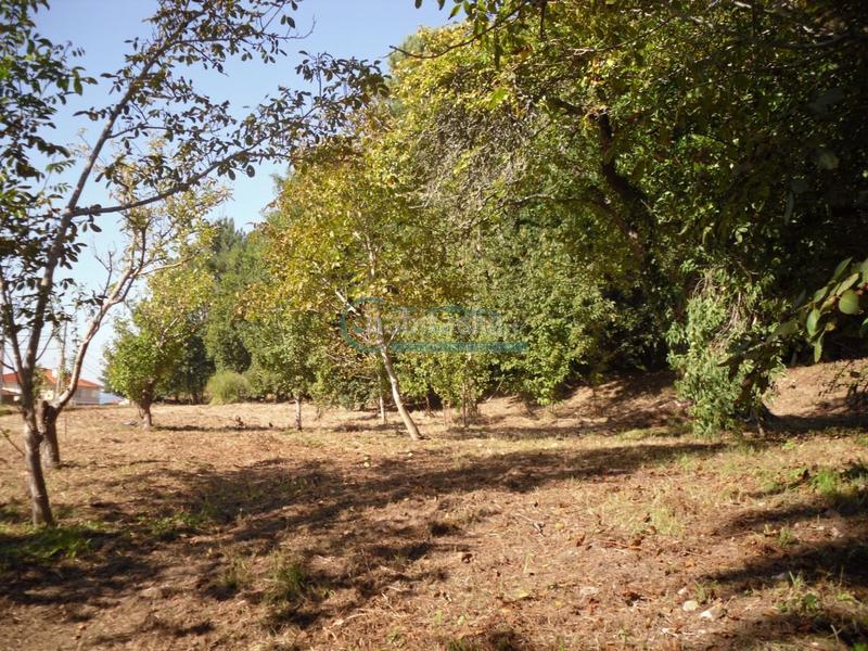 Foto 06464ca8-337e-4d60-8177-cedb7840f072. Masía en Priegue Nigrán