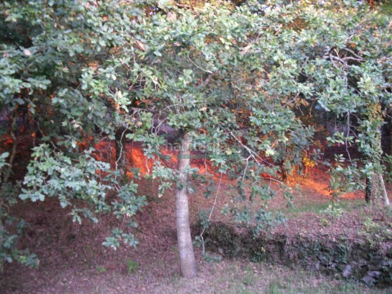 Foto d6a9b961-2594-434e-96cd-ea7551d2d47e. Masía en Priegue Nigrán