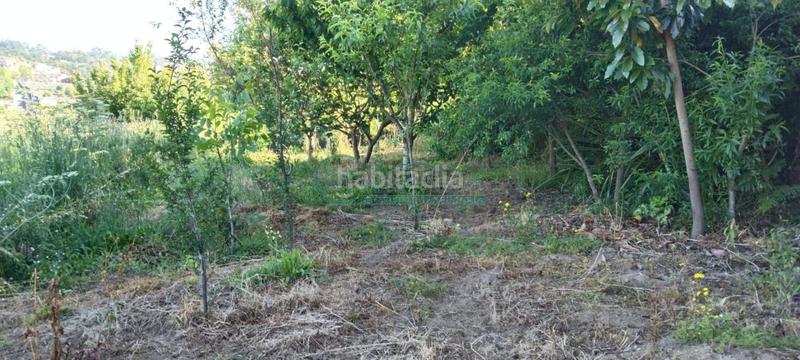 Foto be6a8138-c2d0-469f-93a3-73a1f5334af2. Terreno residencial en Cabral - Candeán Vigo