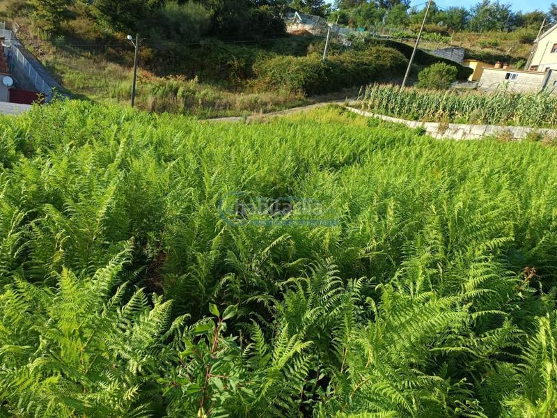 Foto 42b6e931-3c9b-43c8-afc9-2c01f224622a. Terreno residenziale in Vilaboa