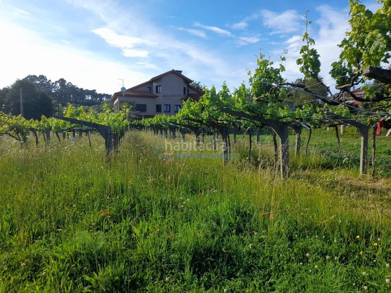 Foto f343bc42-8bb6-4b24-96df-3e6d4fdf6236. Terreno residenziale in Mos
