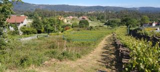 Terreny residencial a Mos