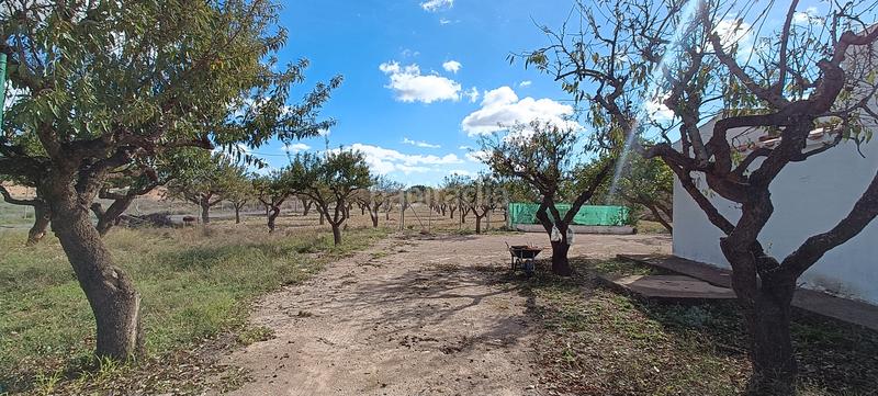 Foto f5f36966-e520-4a99-9787-352605629679. Chalet casa de campo en paraje derramadores. en Almansa