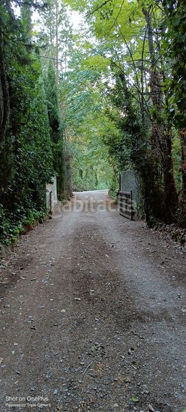 Foto 0d7aa8d2-c5c6-41bb-808a-76c557521275. Xalet a Almansa