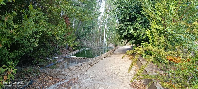 Foto 2c642192-240e-4cfa-870f-68d4d97e8832. Xalet a Almansa