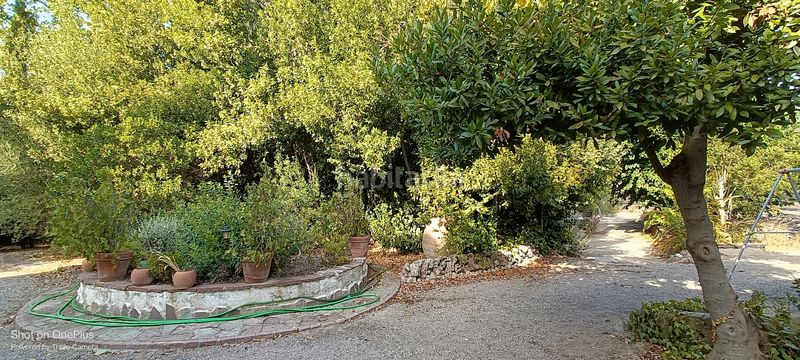 Foto f52e9442-460d-45df-adc1-09a0b51a8b8f. Xalet a Almansa