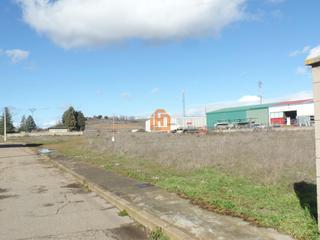 Terreny residencial  Quevedo