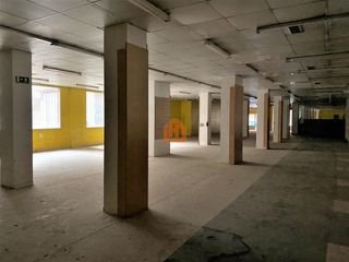 Business premise  San fructuoso