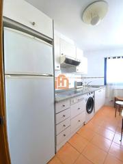 Location Appartement  Padre isla