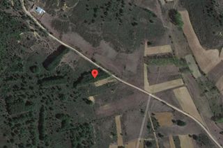 Finca rústica  Calle tejera. Terreno en calle tejera, poligono 56 vegas del condado