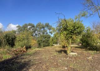Residential Plot in Rúa Concheira