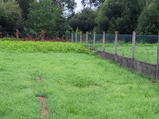 Residential Plot in Chan de aldea 23