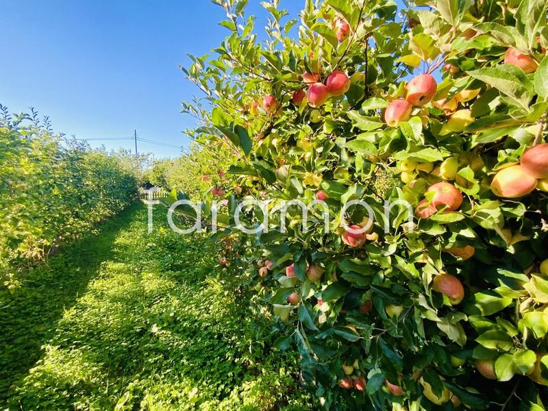 Foto 681bab5c-40ae-4fe6-9788-6a1598eccb95. Casa fantástico chalet con amplio jardín y piscina en Carracedelo