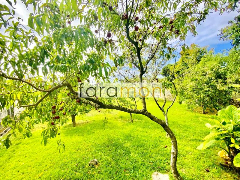 Foto 7c737005-c4e9-4ec9-9c9a-952a43434bbf. Casa amb calefacció aparcament a Coruxo - Oia - Saiáns Vigo