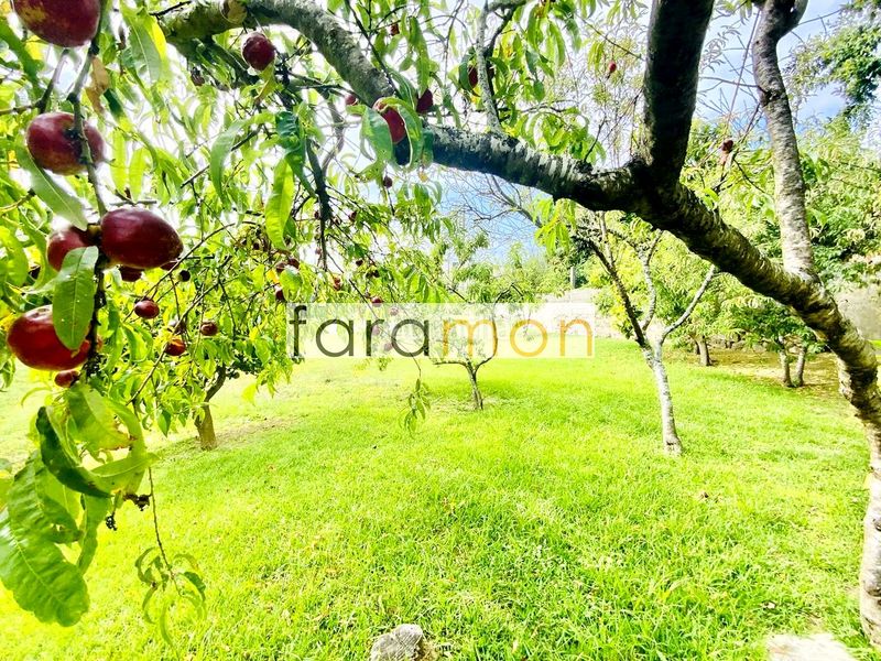 Foto 96708200-0709-4ce9-a766-2b272203d3b2. Casa amb calefacció aparcament a Coruxo - Oia - Saiáns Vigo