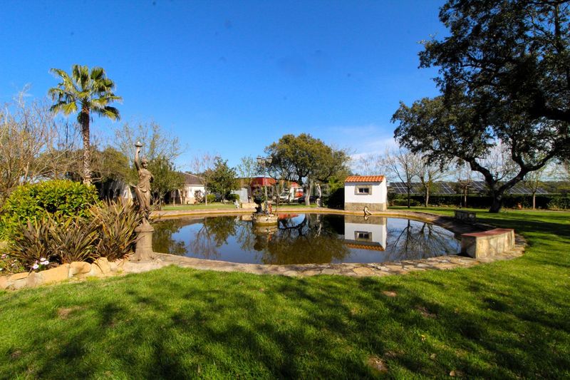 Foto 1c125166-f725-4a92-b63f-b583d55ddaf9. Casa amb calefacció piscina a Carretera de Sevilla - Los Montitos Badajoz