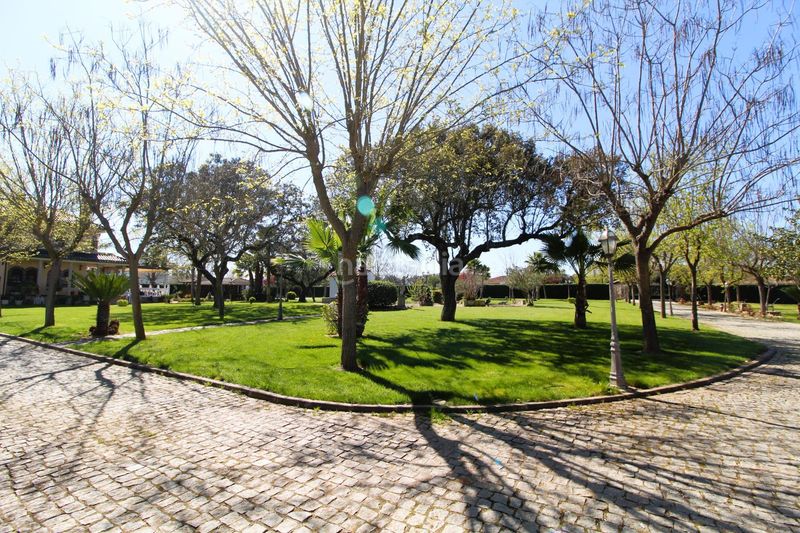 Foto 94aac4d5-72f8-41a4-a086-6d4781cf3633. Casa amb calefacció piscina a Carretera de Sevilla - Los Montitos Badajoz