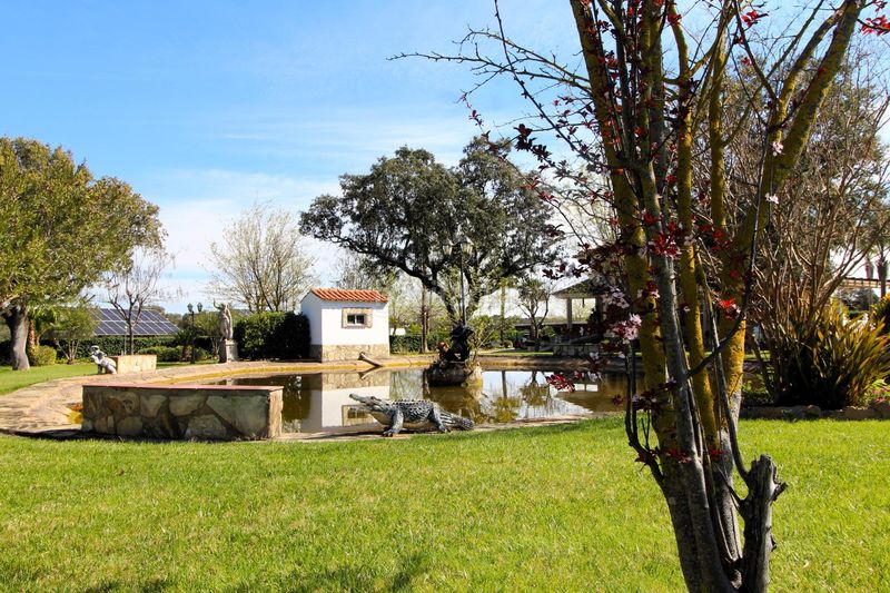 Foto e4afbe79-aa64-42df-86b7-b0facffbb1a1. Casa amb calefacció piscina a Carretera de Sevilla - Los Montitos Badajoz