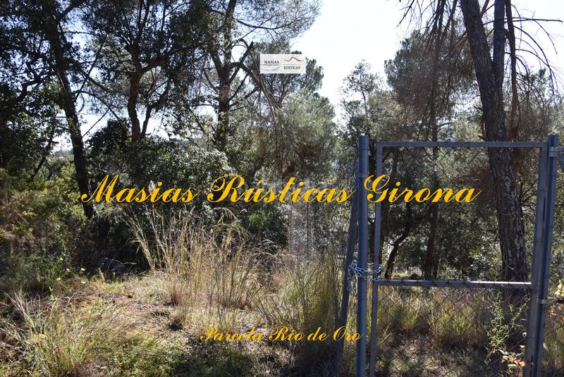 Foto 046c3044-ff94-49a2-badd-ef8a06f4834e. Terreny residencial a carrer eucaliptus 4 a Mas Pere-Río de Oro Calonge