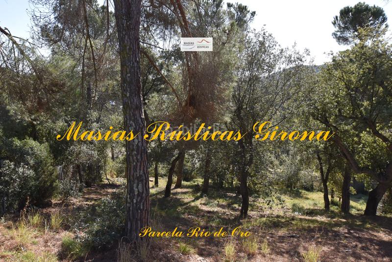 Foto 406d4974-460f-4142-9c53-605fa0746693. Terreny residencial a carrer eucaliptus 4 a Mas Pere-Río de Oro Calonge