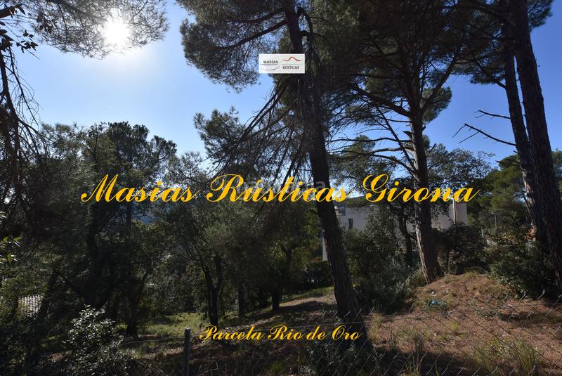 Foto ed1d59b7-5c12-40ed-865e-8862cc81b852. Terreny residencial a carrer eucaliptus 4 a Mas Pere-Río de Oro Calonge