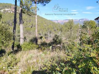 Terreny residencial a Bernaguera 29. Solar en venta en bigues i riells.