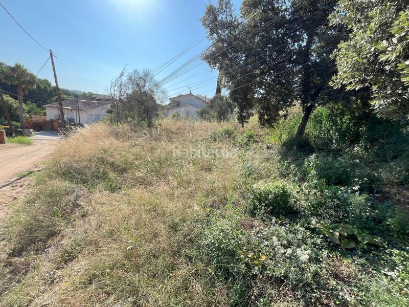 Foto 9243c9df-c51e-463d-bd07-849035931646. Wohngrundstück in Bigues i Riells del Fai