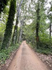 Terreno residencial en Bigues i Riells del Fai. Solar en venta en centro.