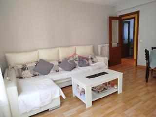 Pis  Gonzalez de lama