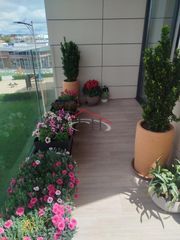 Appartamento in El Ejido - Santa Ana