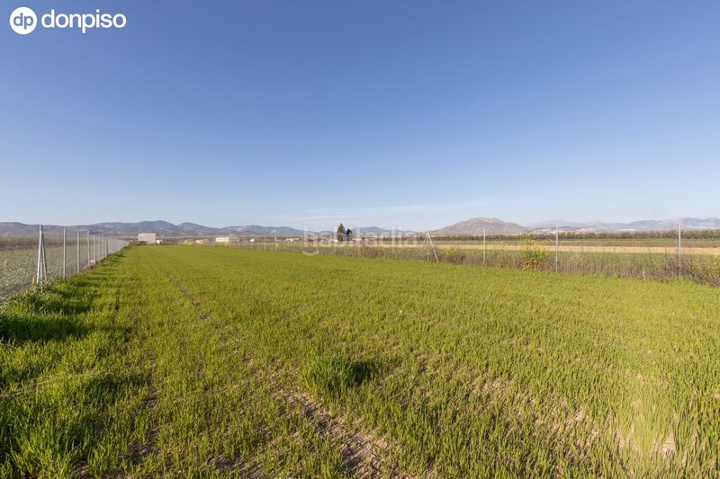 Foto a7850df1-8f4c-4a0f-bbaf-620103e75d18. Finca rústica a Chauchina