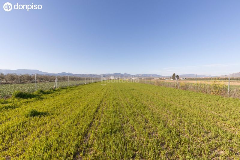 Foto ad11bfee-a76d-4586-83ed-e377c9473663. Finca rústica a Chauchina