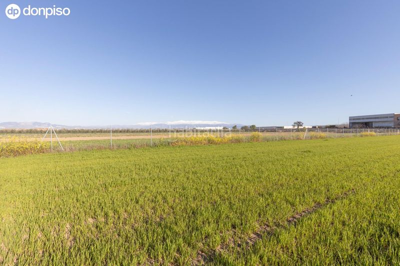 Foto d598a533-e22f-47e4-8e75-5e1ae475af99. Finca rústica a Chauchina