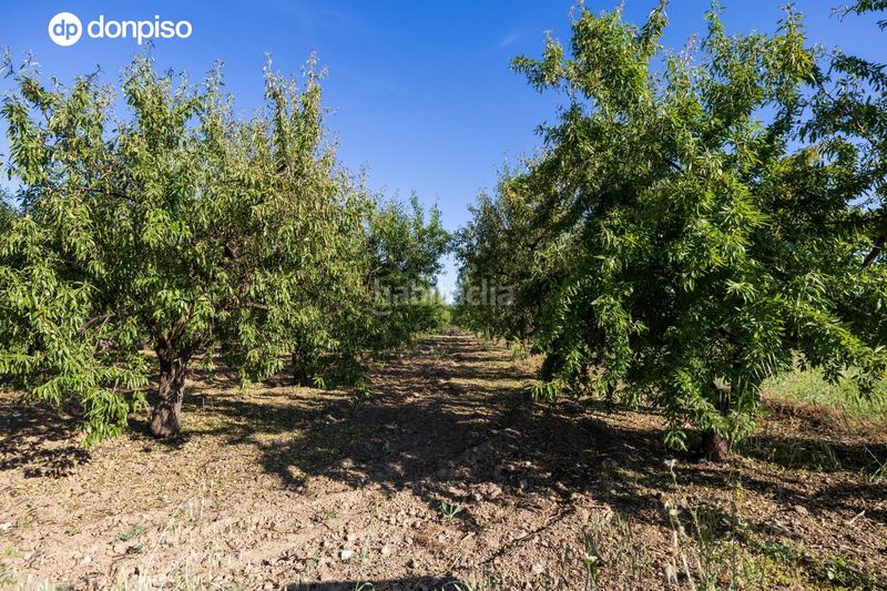 Foto 610b9a45-9d8d-4447-80d3-502ffc3a54a8. Finca rústica a Dúrcal