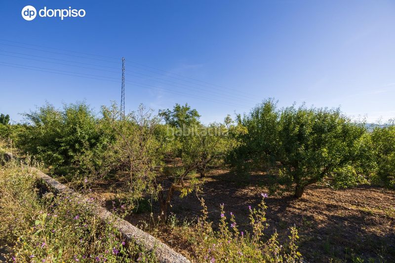 Foto be297da1-891b-4228-8a6b-dae0d6b1831a. Finca rústica a Dúrcal