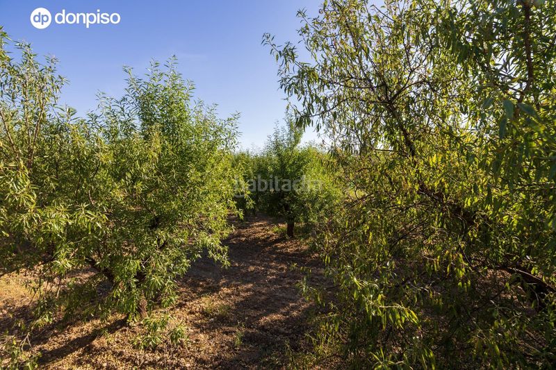 Foto c44ac50e-c644-4038-a9c3-9f1e82f7ffc3. Finca rústica a Dúrcal