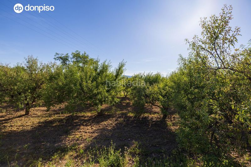 Foto eaa4d0f0-94de-4b72-84a3-430821a3ecdc. Finca rústica a Dúrcal