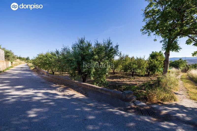 Foto f3d70b6f-1631-4dca-955e-ce0529d188ac. Finca rústica a Dúrcal