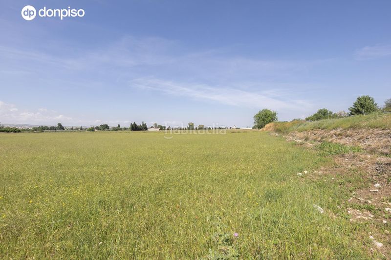 Foto 9730b620-7e36-4e9c-8cec-c87f03ac4e47. Finca rústica a Camino de Ronda Granada