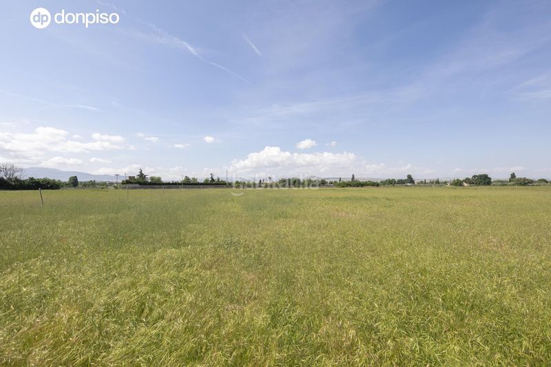 Foto a84f830f-e05e-4559-9ff9-1c342f916fa4. Finca rústica a Camino de Ronda Granada