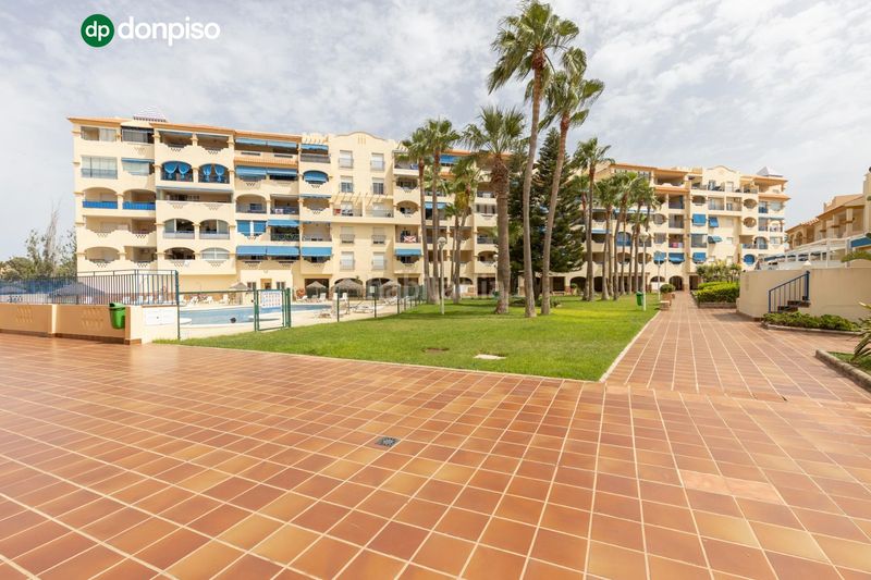 Foto 7a80641c-1238-4641-9740-8f5e50b87880. Pis a marisma (a) 46 a Almerimar Ejido (El)