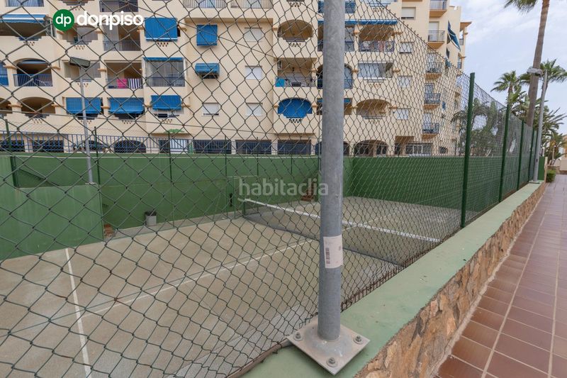 Foto cb56eaad-0166-4d13-a077-930f50882dfe. Pis a marisma (a) 46 a Almerimar Ejido (El)