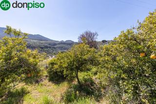 Terreny residencial a Travesía jose mariano vallejo (sal 3. Venta de estupendo terreno urbano en el valle