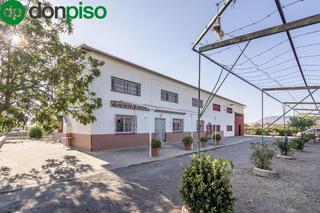 Xalet  Polígono 6 paraje 65 hoya mesa. Oportunidad! casa y nave en santa fé